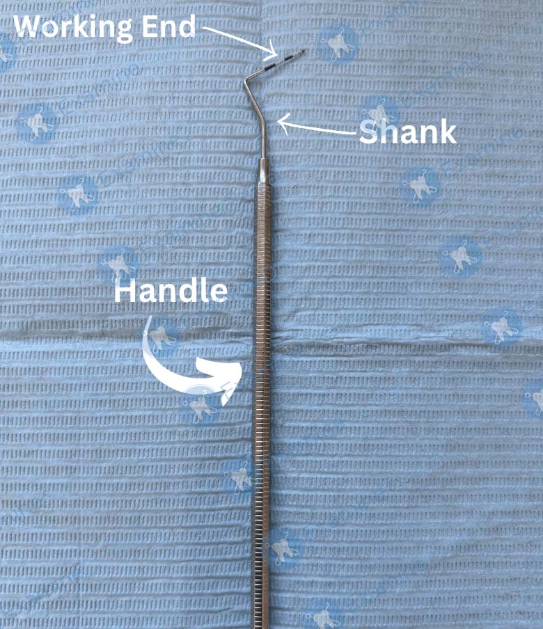 Basic Dental Instruments - ExamineDental