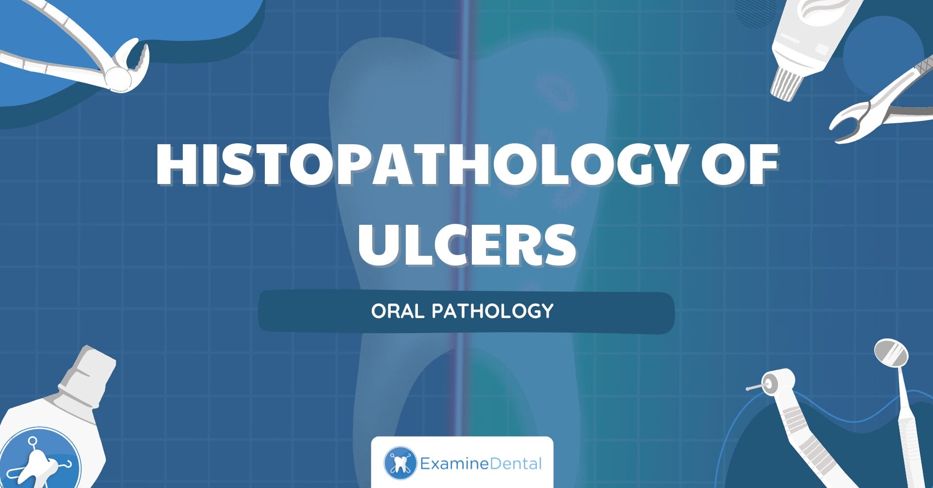 Histopathology of Ulcers